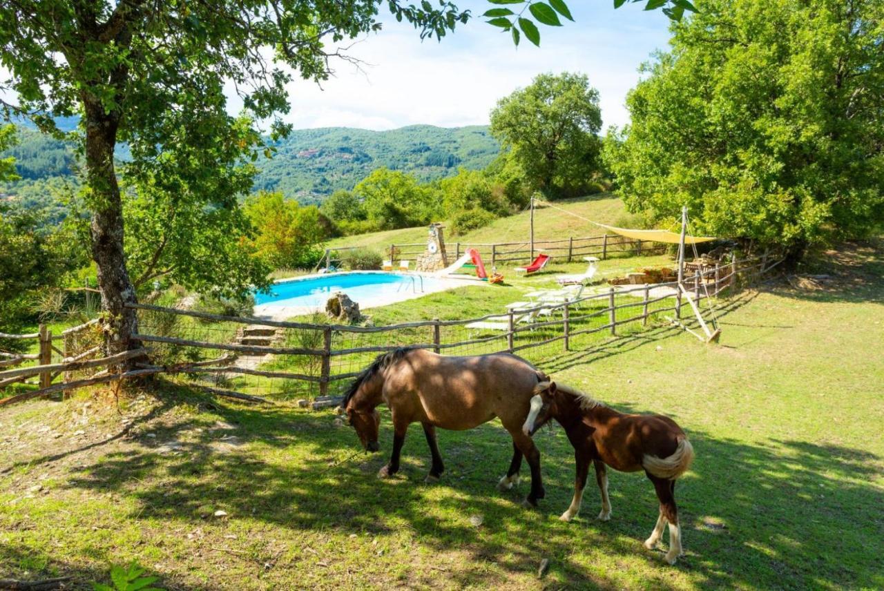Villa Bellavista Ареццо Экстерьер фото
